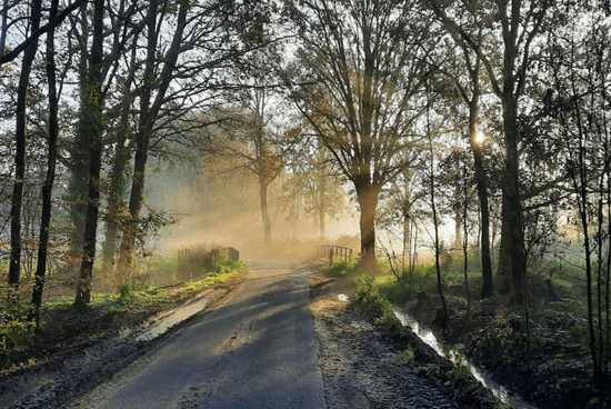 wandel/yoga retreat in een prachtig natuurgebied