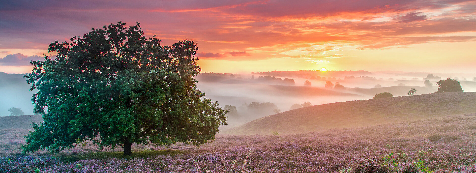 Wandelen op de Veluwe