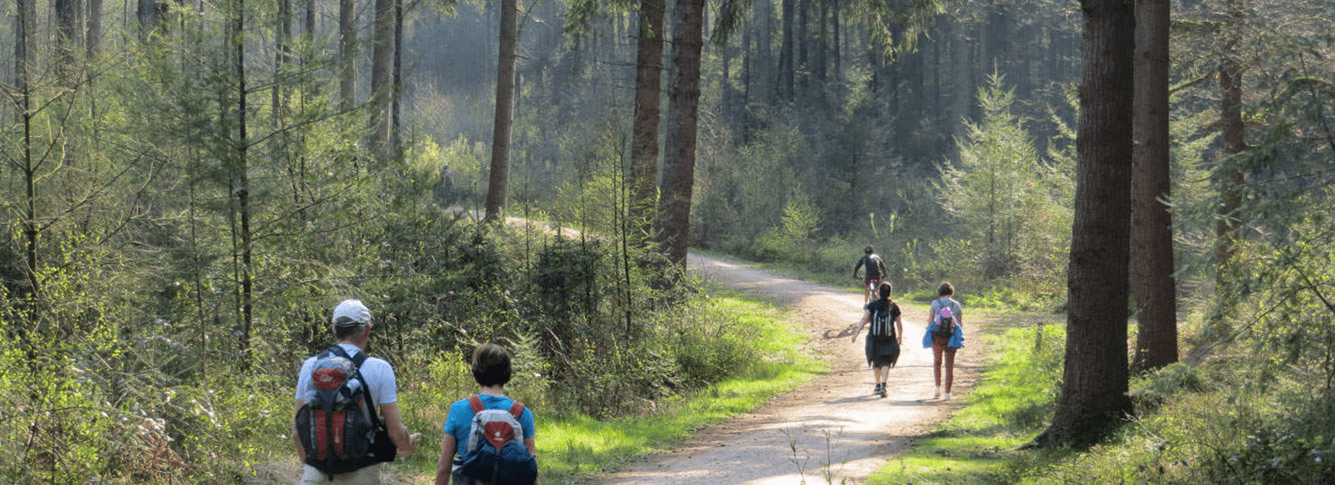 wandel/yoga retreat in een prachtig natuurgebied2
