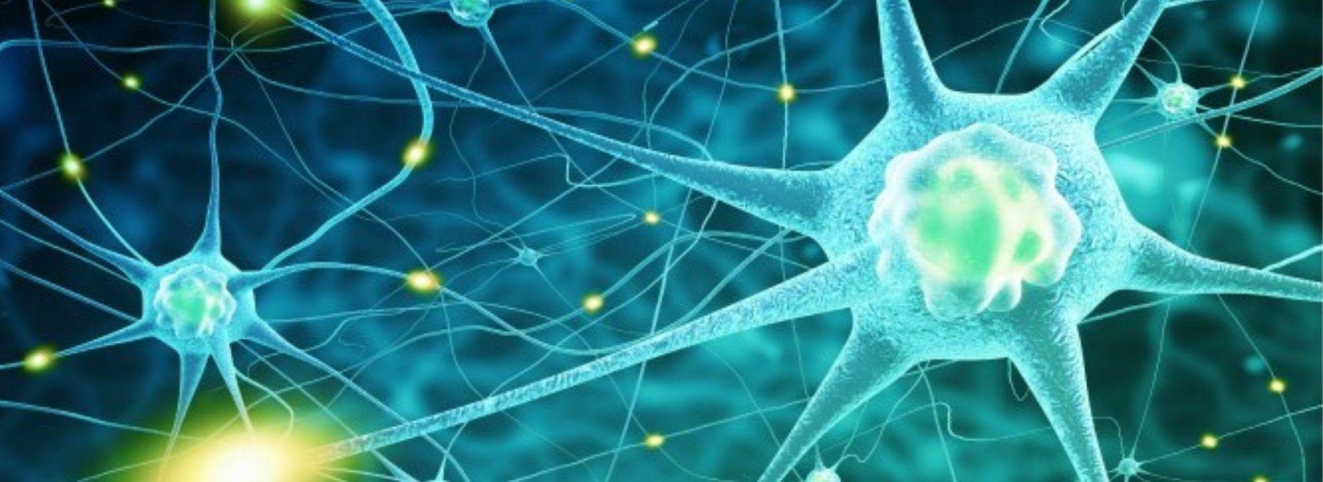 Untitled design(3).jpg